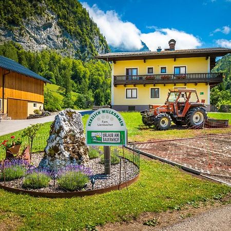 Hinterkellaubauer Kuchl Exterior foto