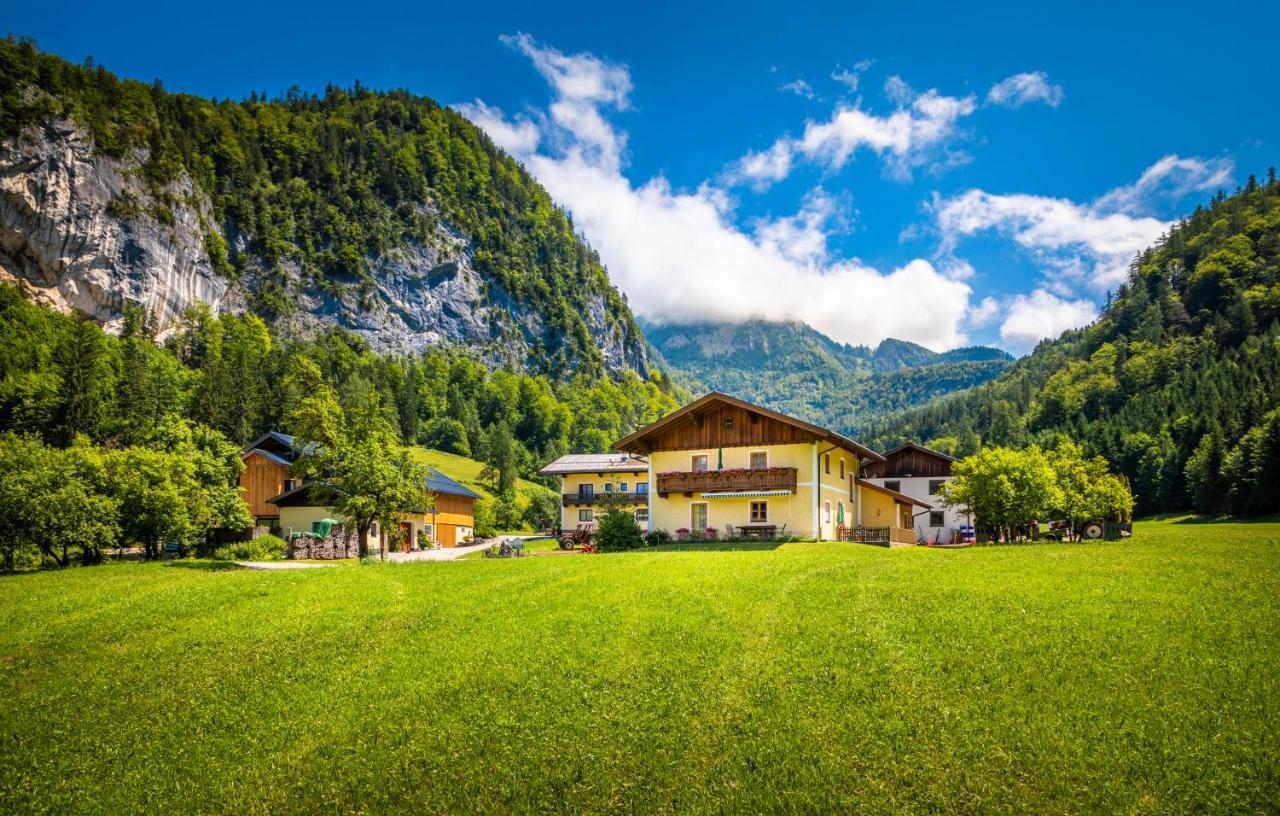 Hinterkellaubauer Kuchl Exterior foto