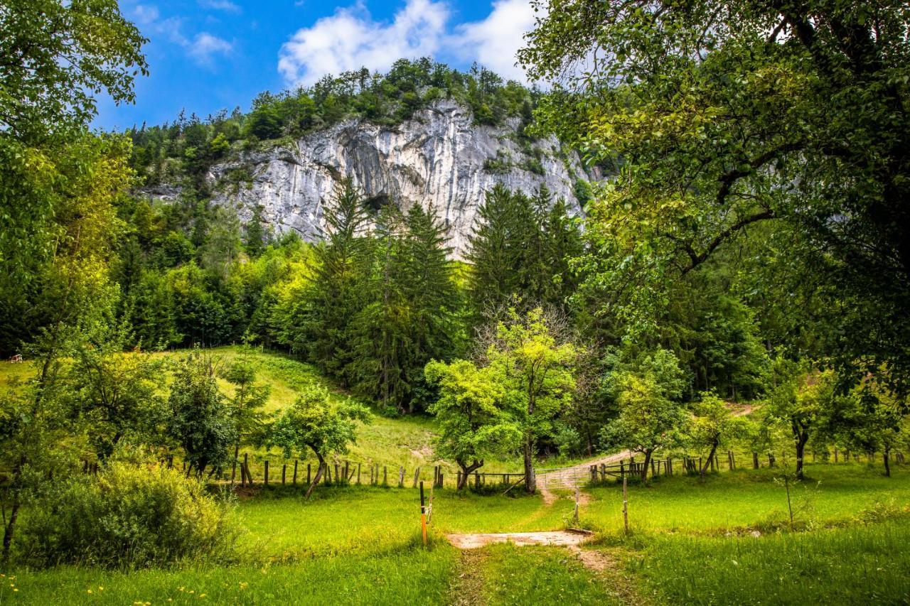Hinterkellaubauer Kuchl Exterior foto