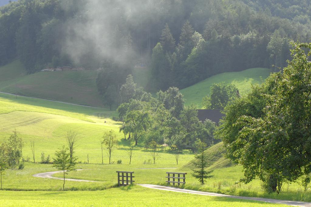 Hinterkellaubauer Kuchl Exterior foto