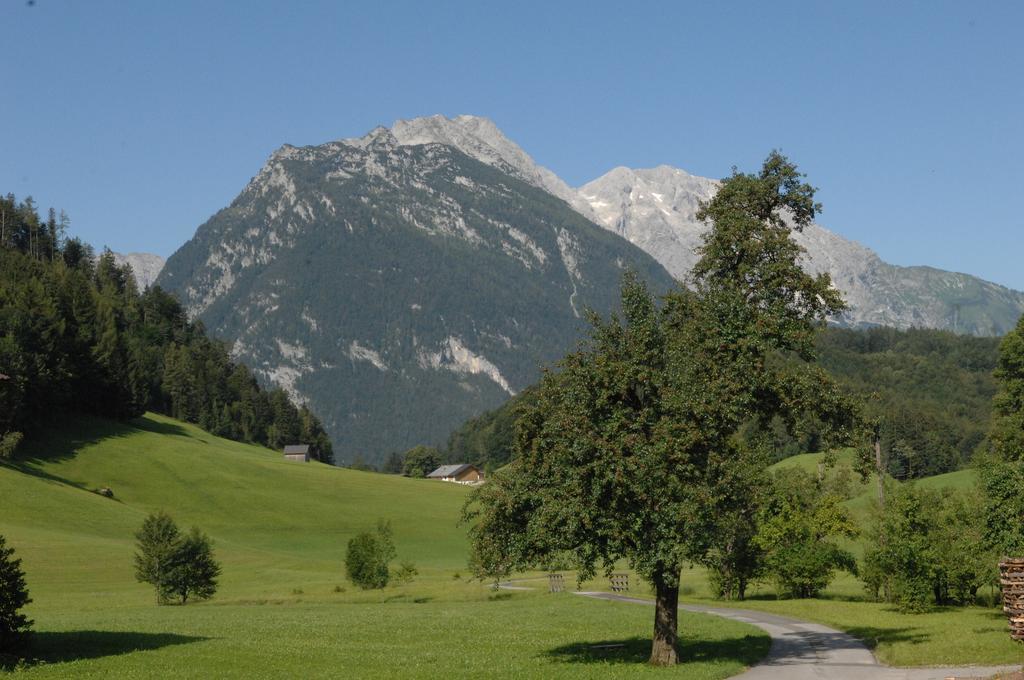 Hinterkellaubauer Kuchl Exterior foto